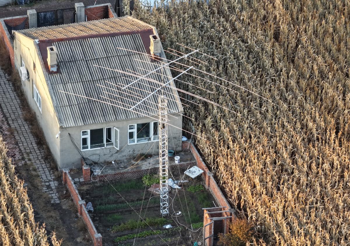 Primary Image for BG2FYO