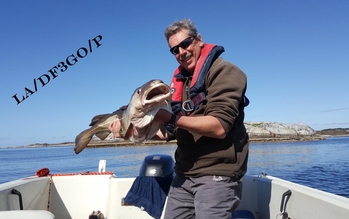 Primary Image for DF3GO