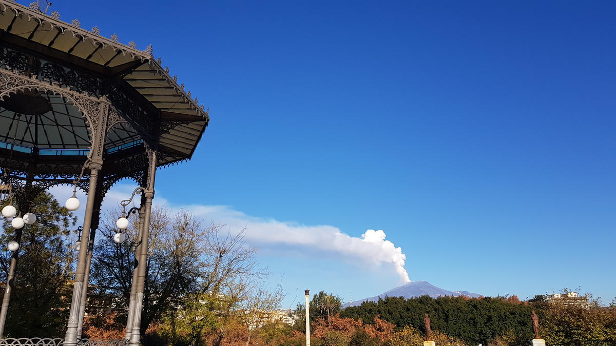 Primary Image for IT9JFO