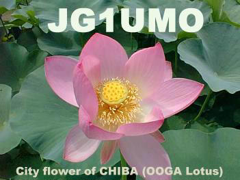 Primary Image for JG1UMO