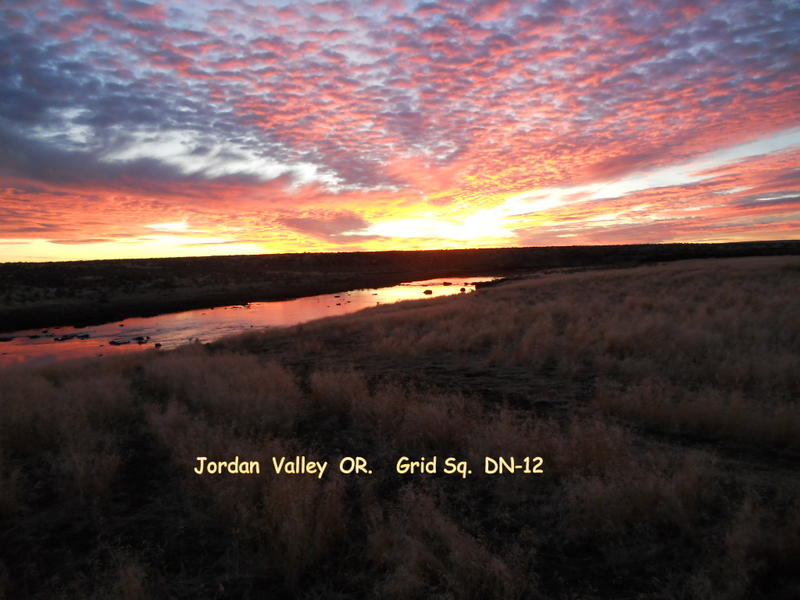 Primary Image for K7JVO