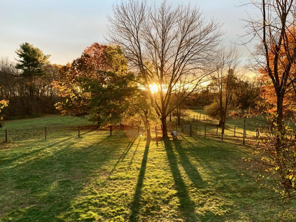 Primary Image for KB1YUO