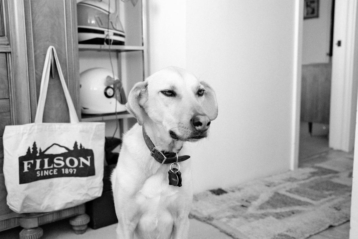 Primary Image for KD6TSO