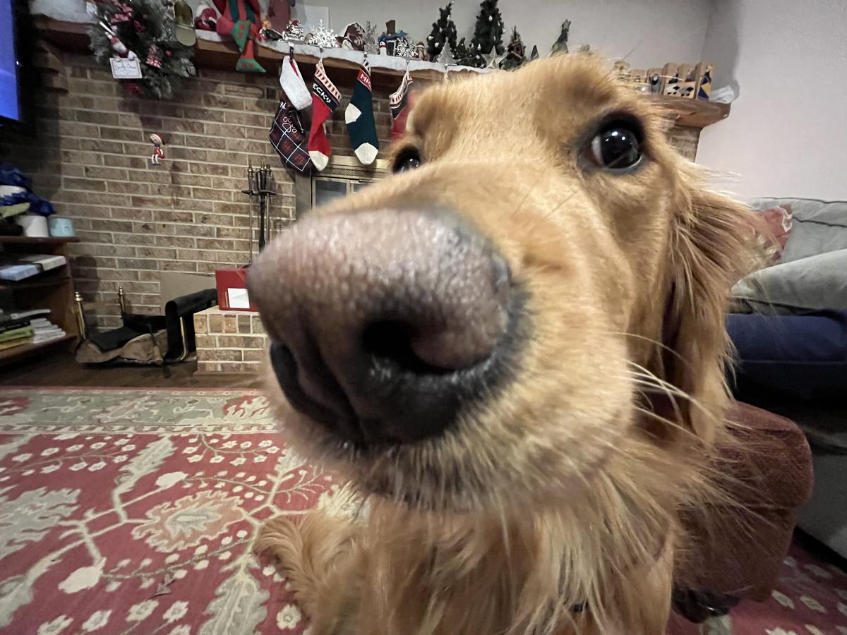 Primary Image for KQ4NPO