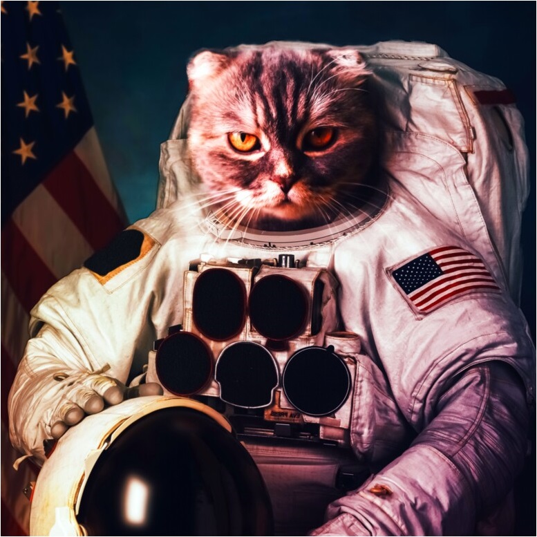 Primary Image for N4UFO