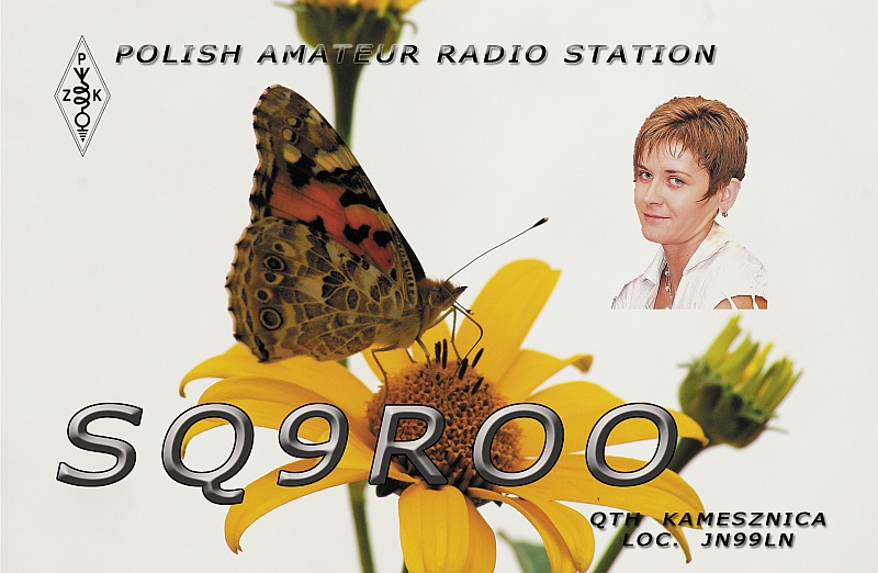 Primary Image for SQ9ROO