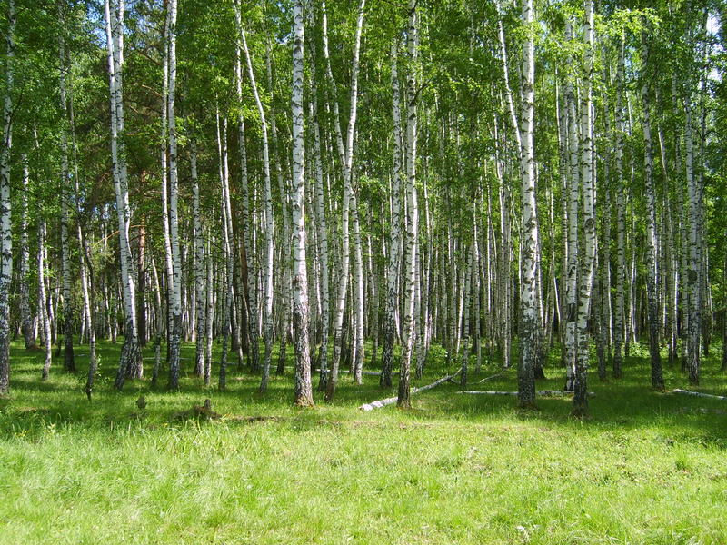 Primary Image for UA4FQO