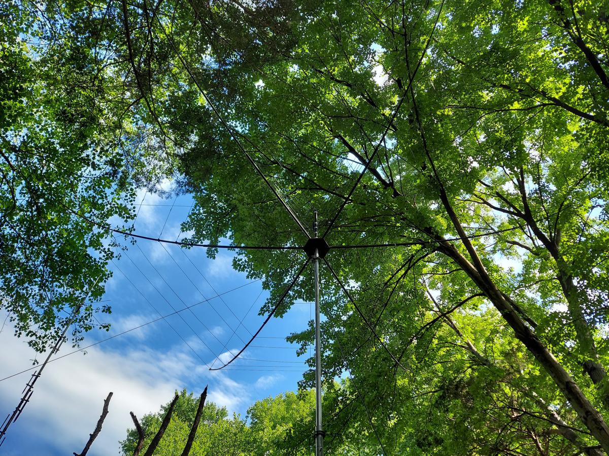 Primary Image for W4FSO