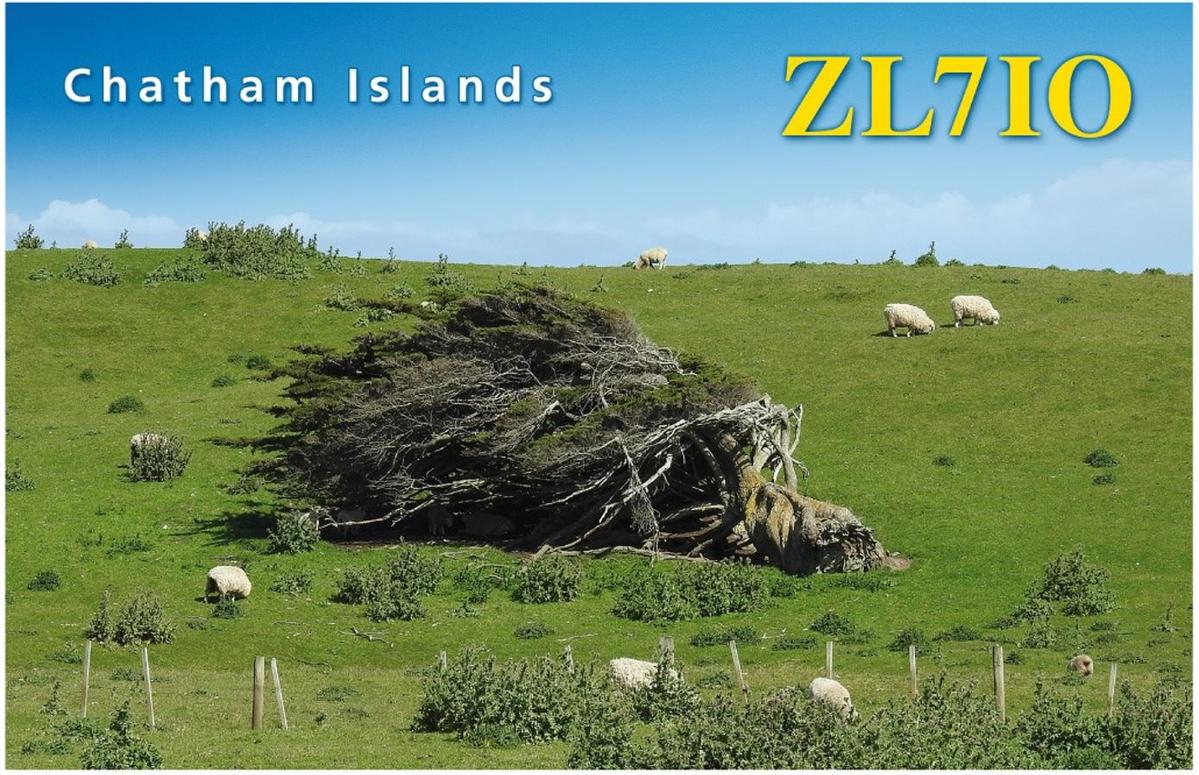 Primary Image for ZL7IO