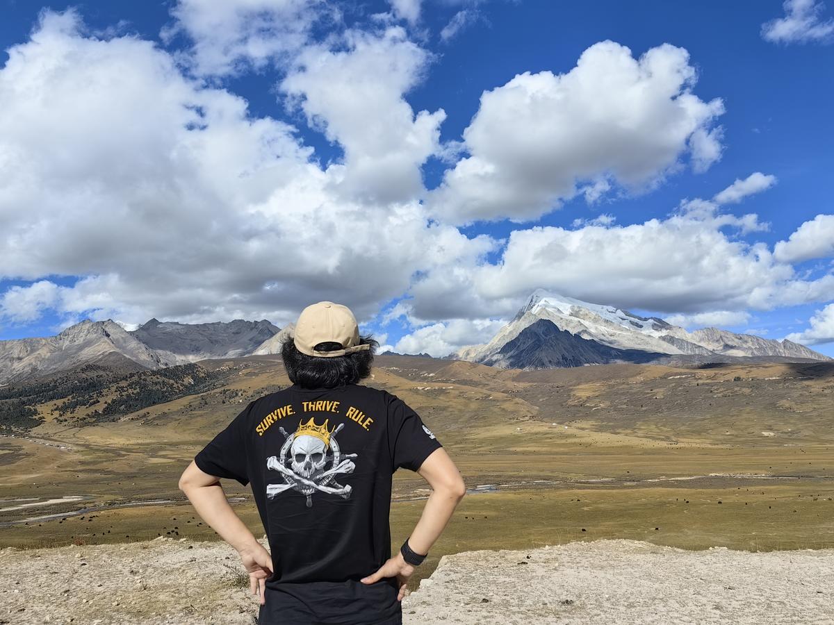 Primary Image for BD8BTP