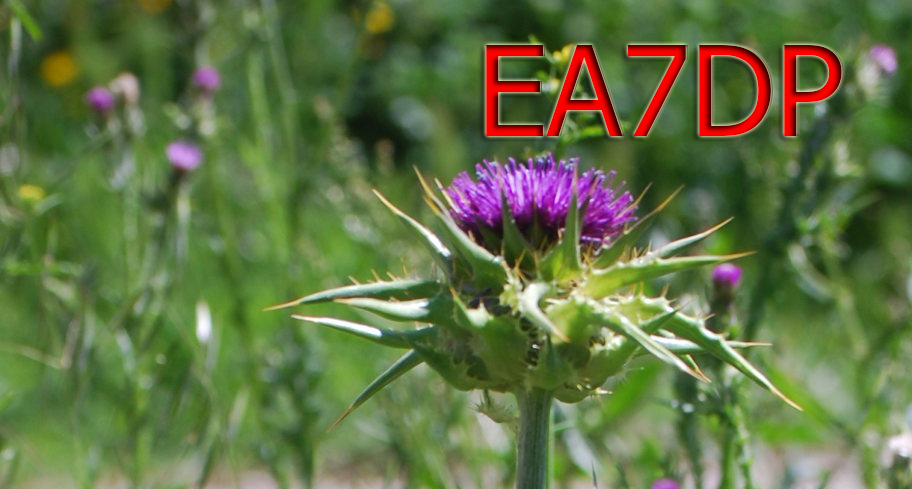 Primary Image for EA7DP