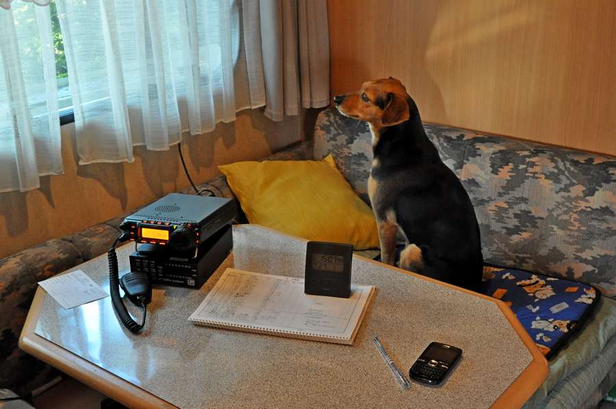 Primary Image for I3LTT/P