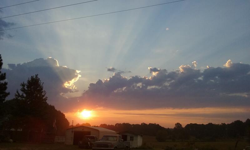 Primary Image for K5DFP