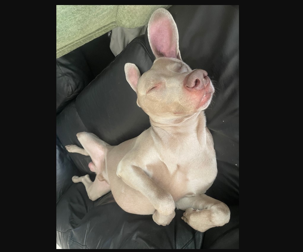 Primary Image for K6GQP