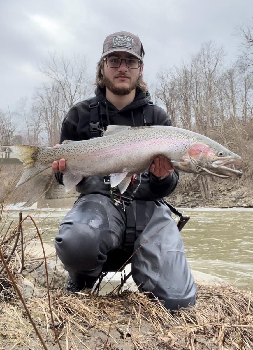 Primary Image for KC3LMP