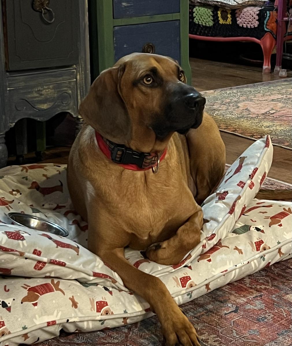 Primary Image for N0OEP