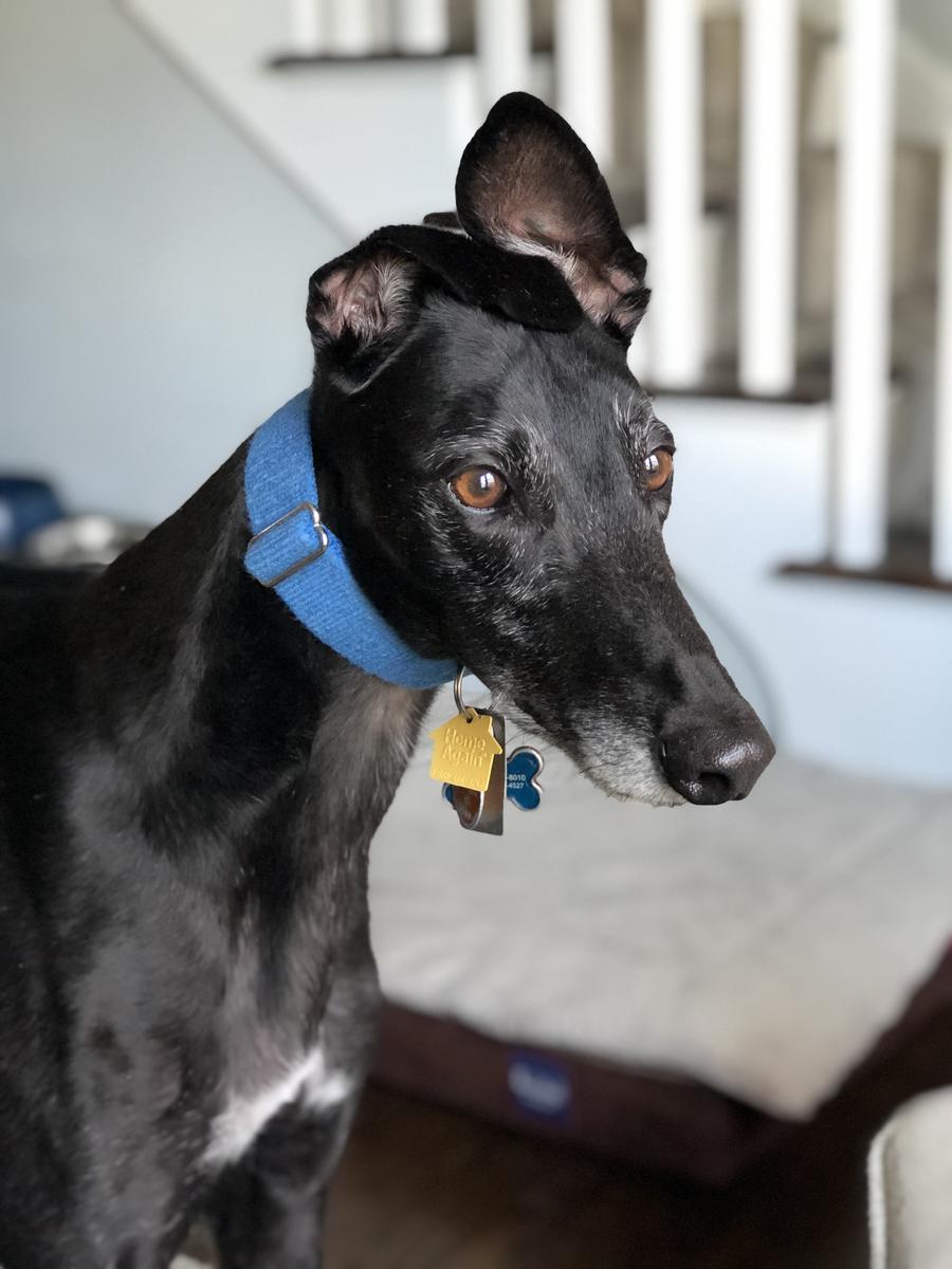 Primary Image for NA9P