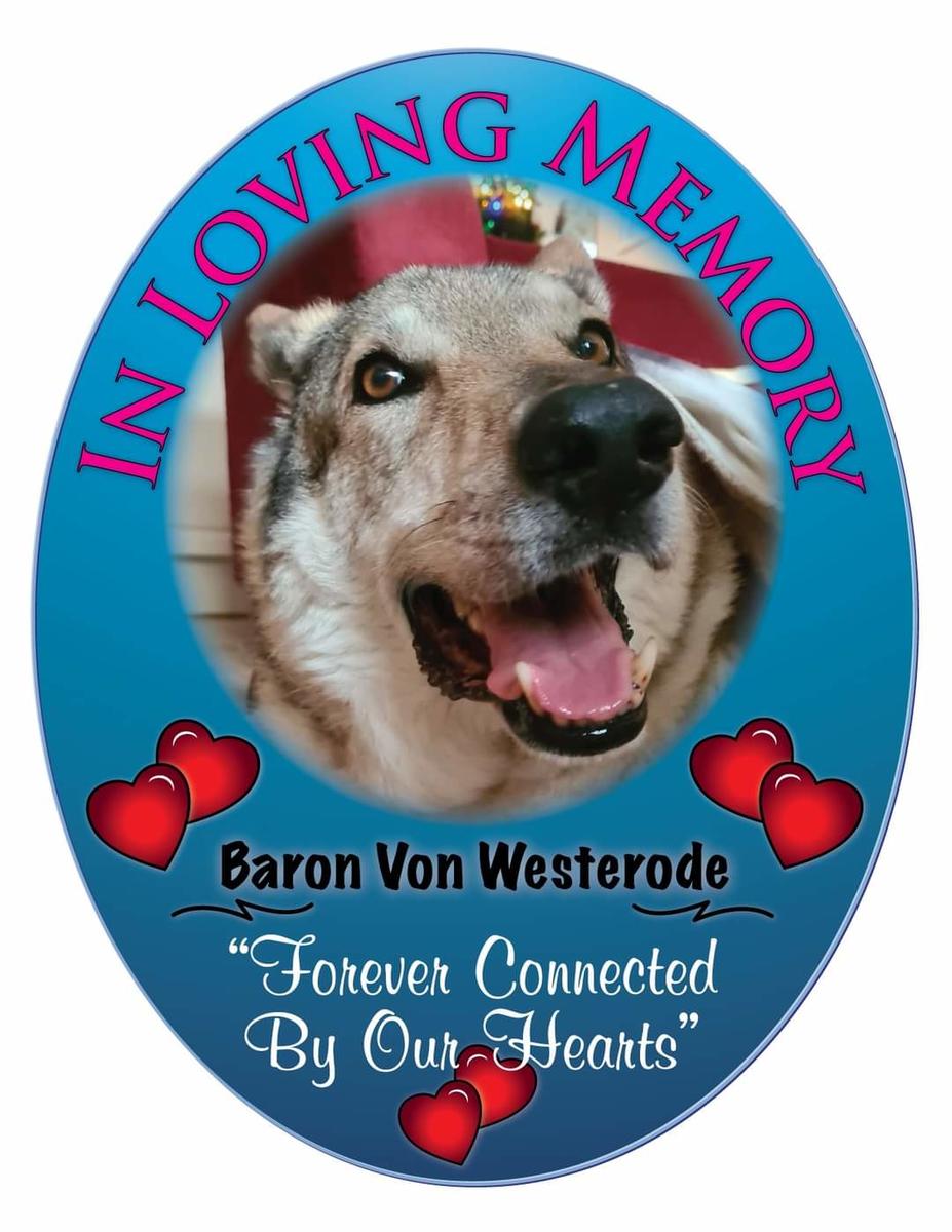 Primary Image for PD0OKP