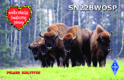 Primary Image for SN22BWOSP