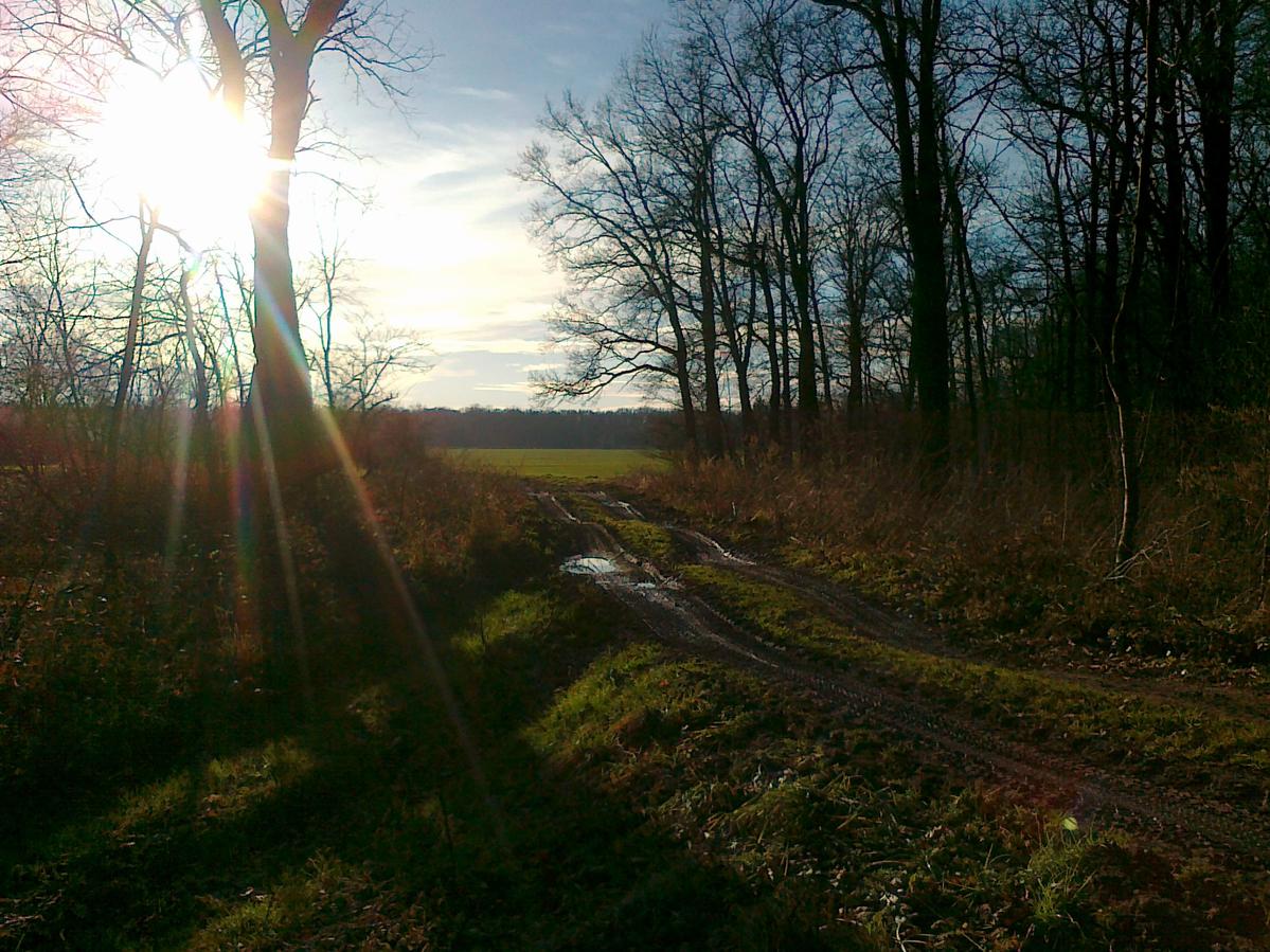 Primary Image for SP9TP