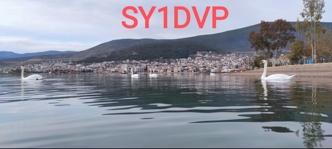Primary Image for SY1DVP