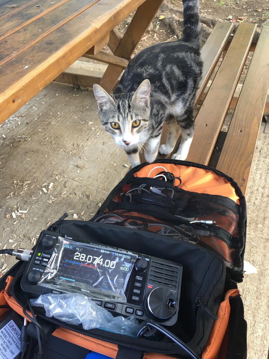 Primary Image for TA9J/QRP