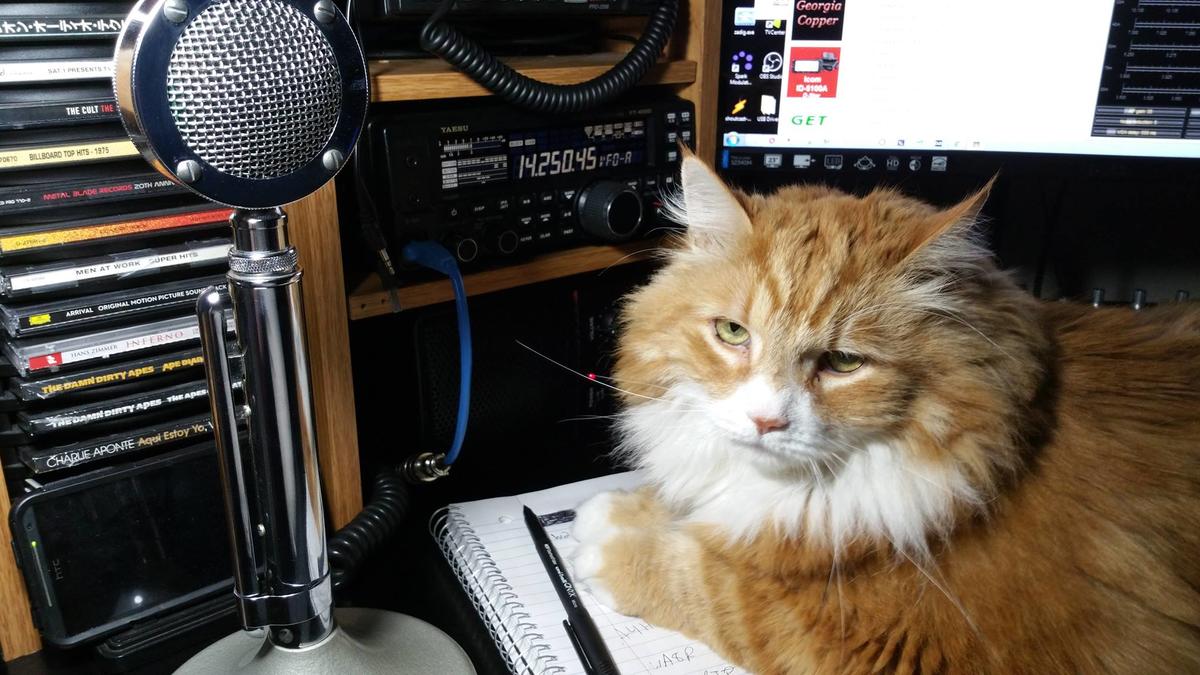 Primary Image for W3AAP