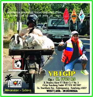 Primary Image for YB1GIP