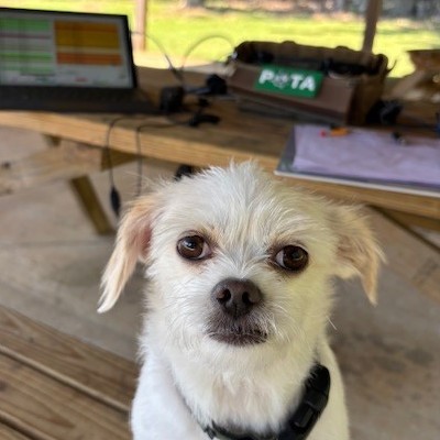 Primary Image for AE4FQ