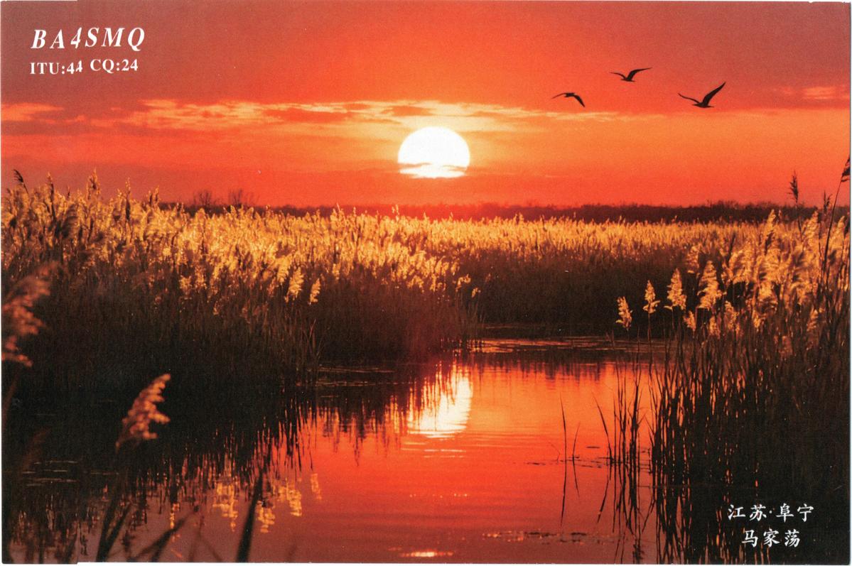 Primary Image for BA4SMQ