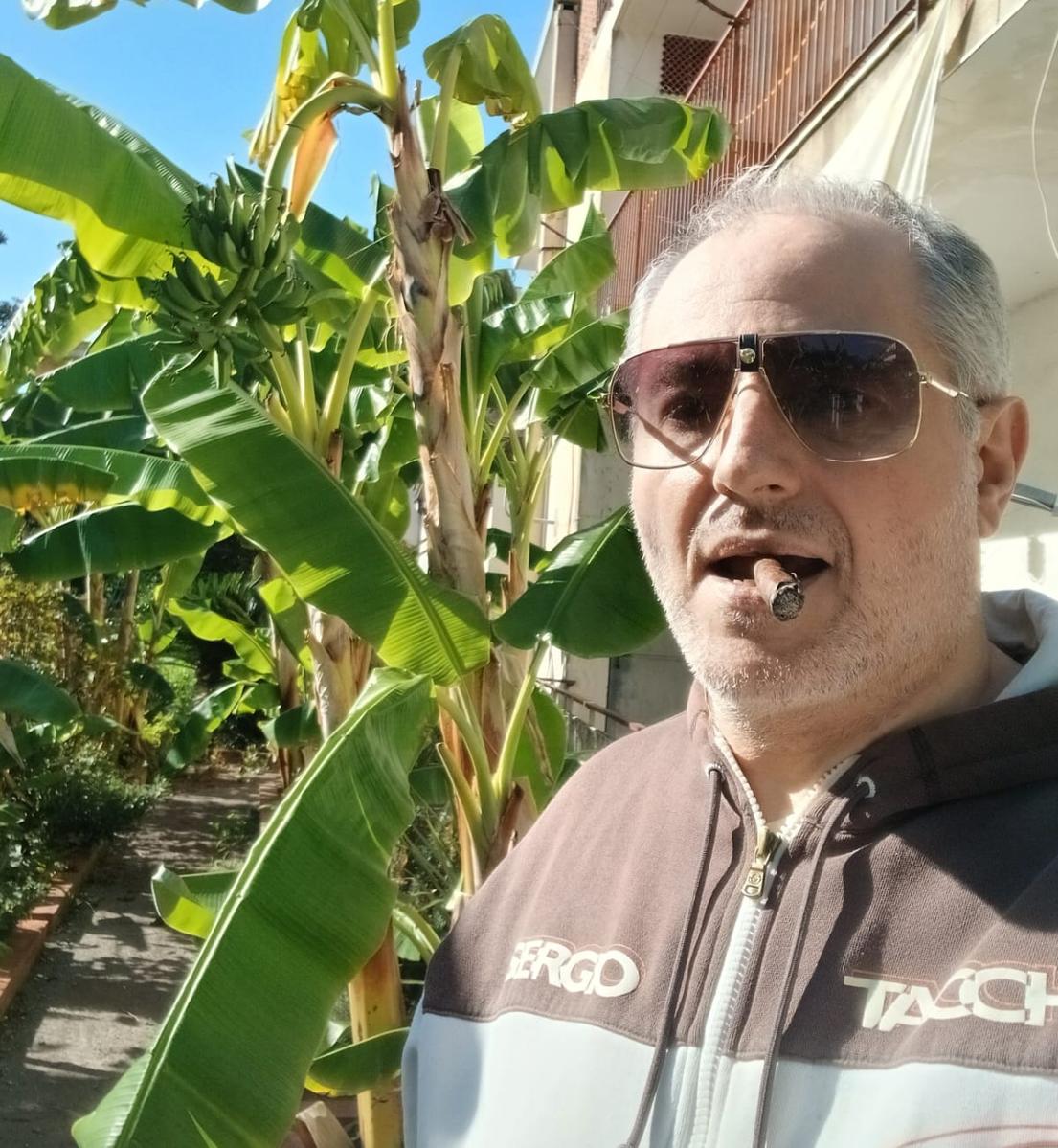 Primary Image for IT9CCQ