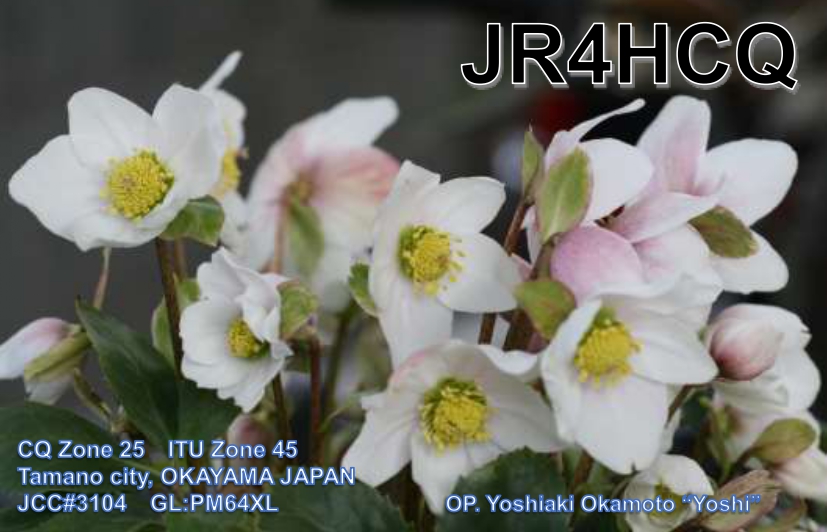 Primary Image for JR4HCQ