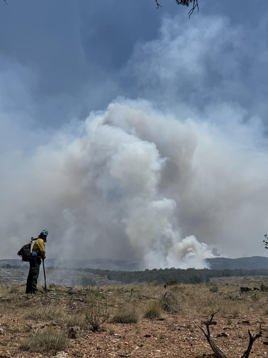 Primary Image for KA1CMQ