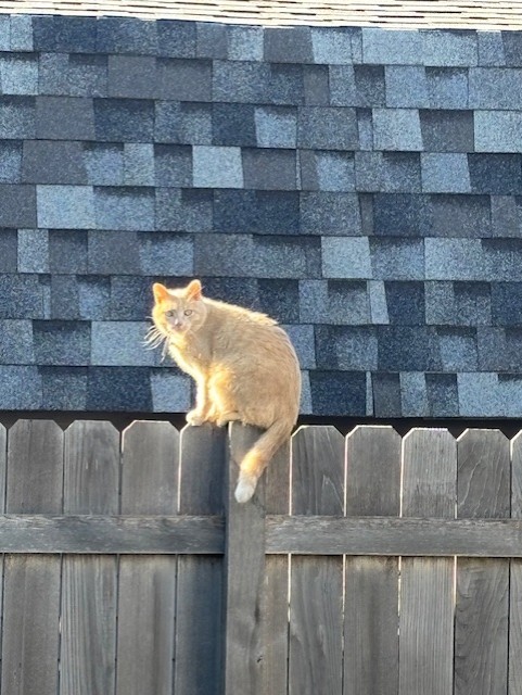 Primary Image for KE0QQQ