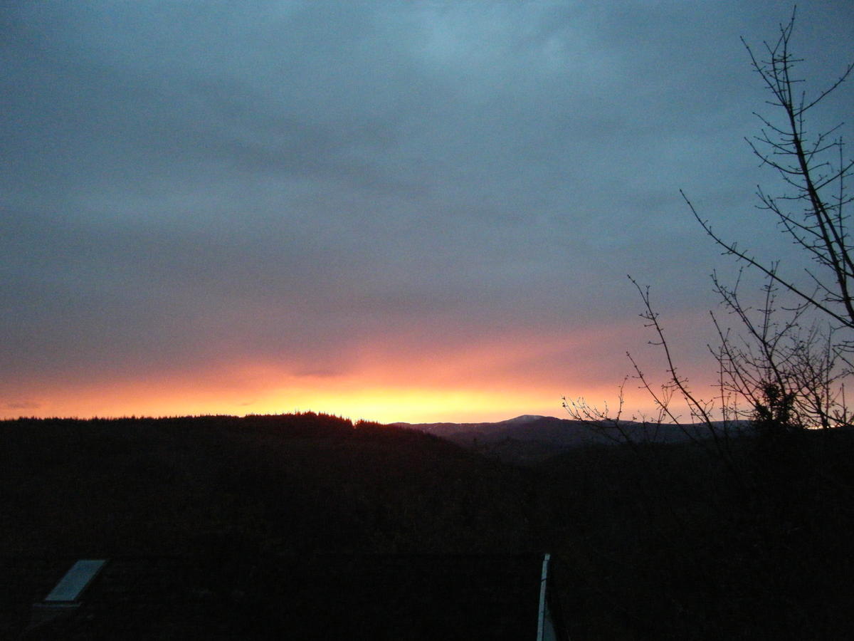 Primary Image for MW0ODQ