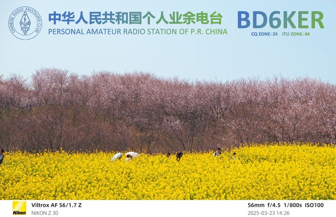 Primary Image for BD6KER