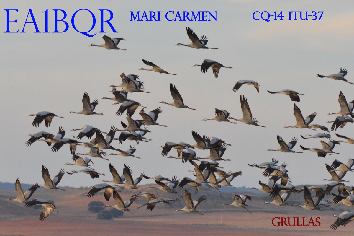 Primary Image for EA1BQR