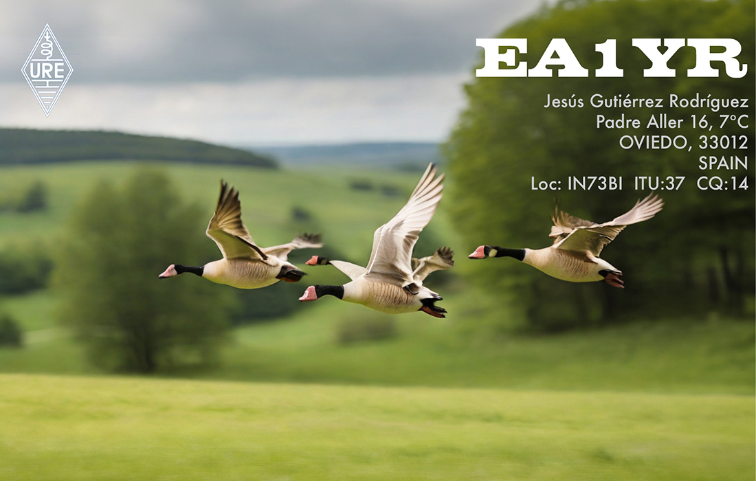 Primary Image for EA1YR