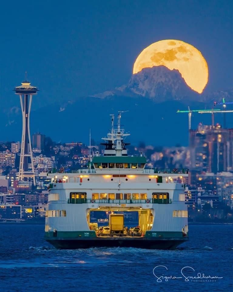 Primary Image for K7FDR