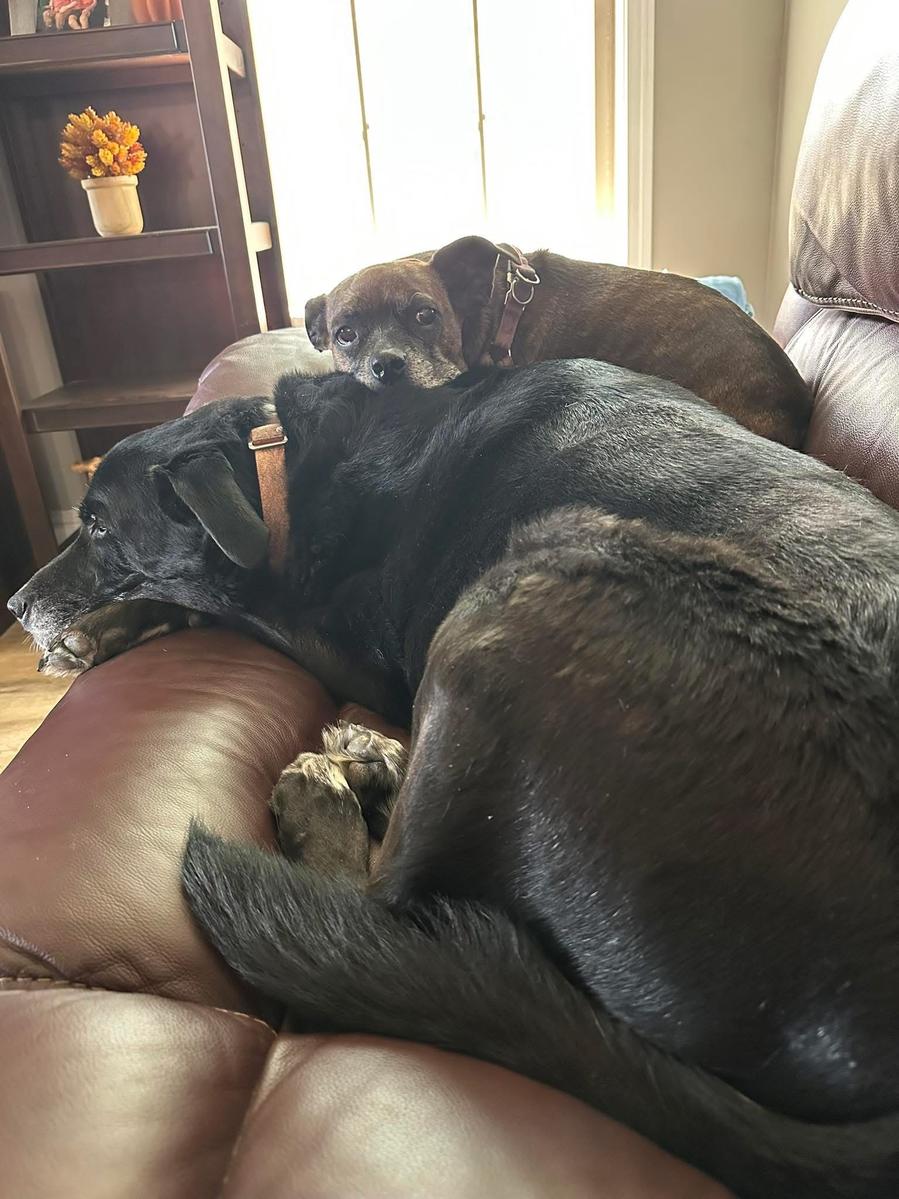 Primary Image for KC0NDR