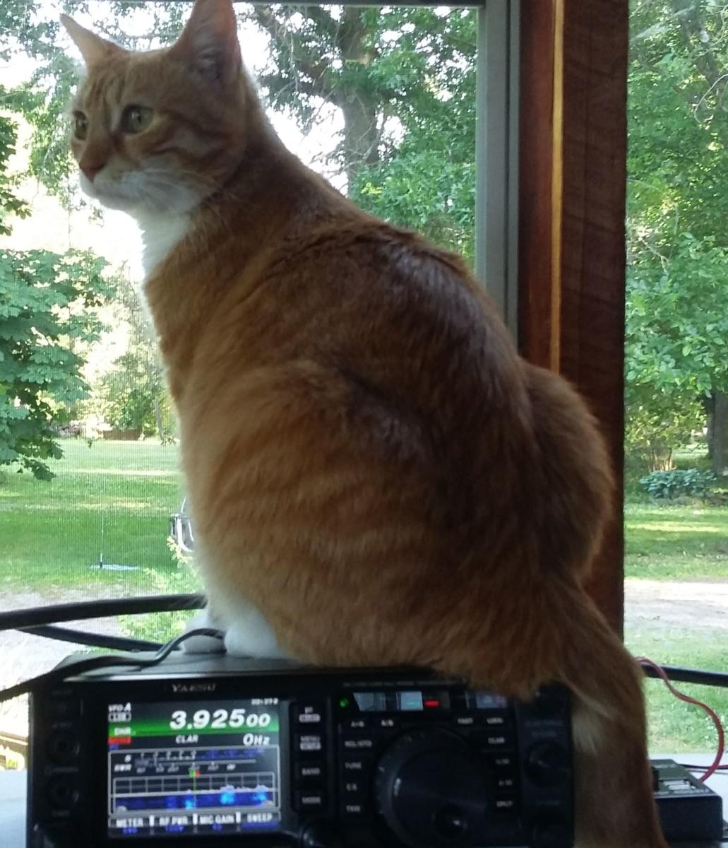 Primary Image for KD2QAR