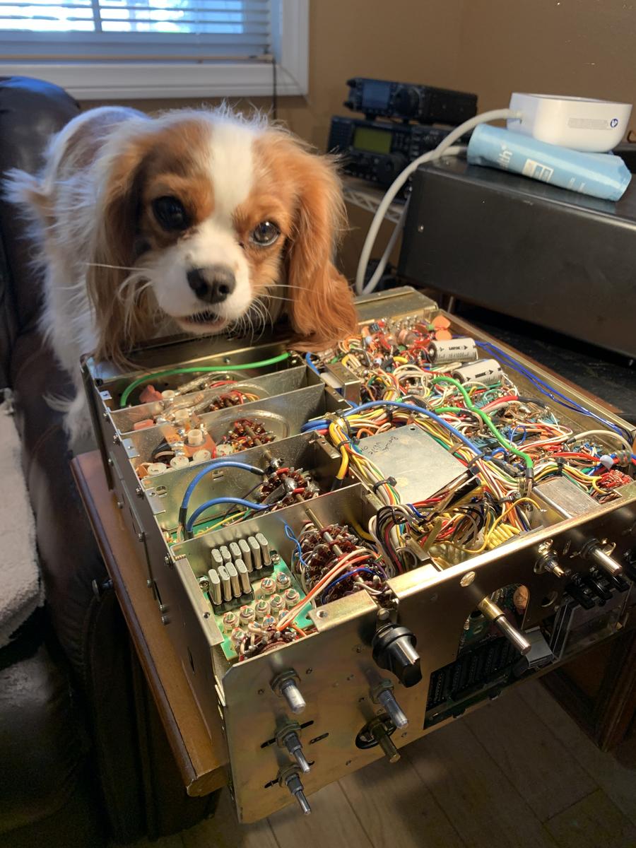 back number 会報　#2-#14 Kawasaki Motorcycle 1989 OEM Parts Diagram for Rear Wheel