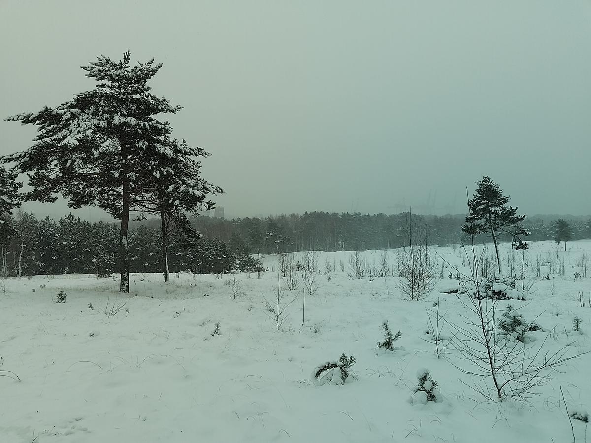 Primary Image for LY4KR
