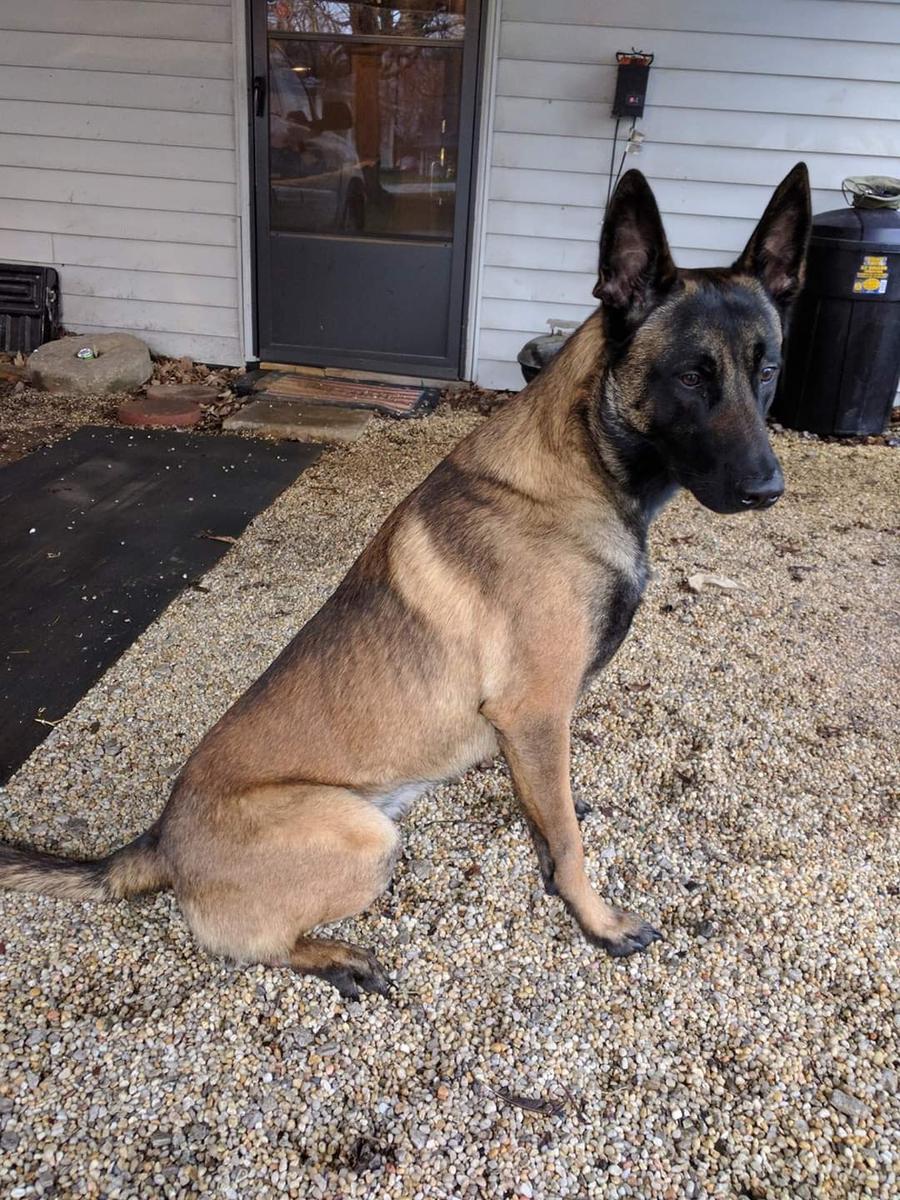 Primary Image for N4JSR