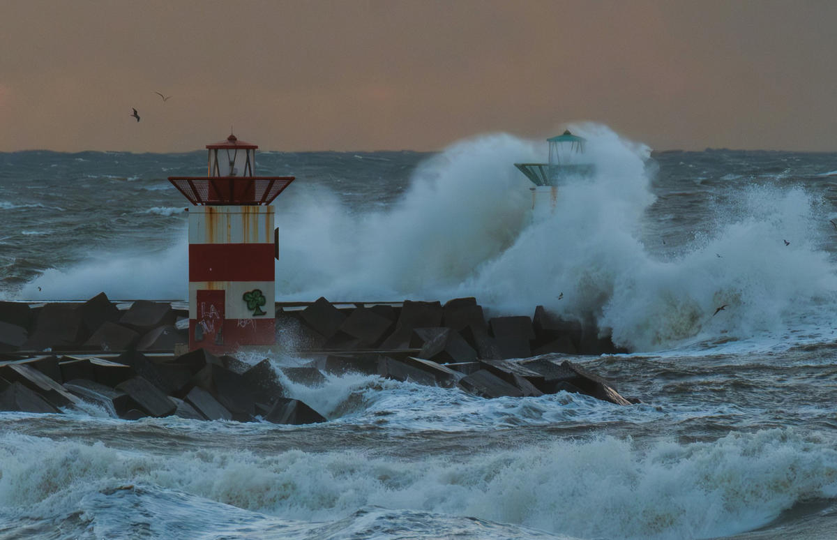 Primary Image for PD3MR