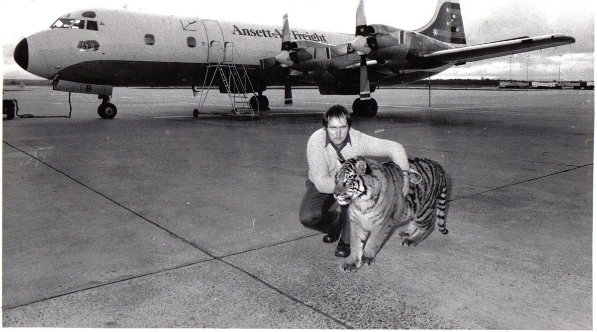 Primary Image for VK3NQR