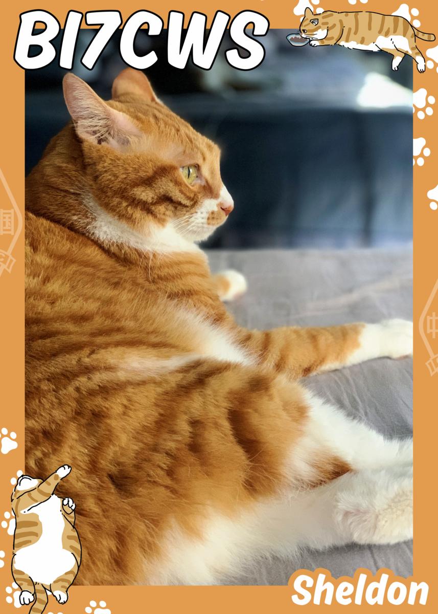 Primary Image for BI7CWS