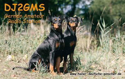 Primary Image for DJ2GMS