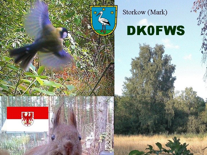 Primary Image for DK0FWS