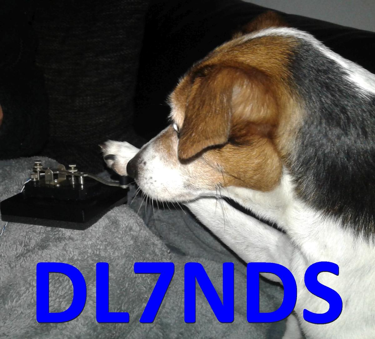 Primary Image for DL7NDS